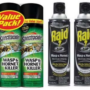 Bug spray l Raid spray l wasp spray prison paper