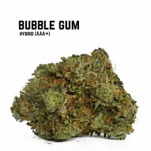 Buy Bubble Gum Weed Online