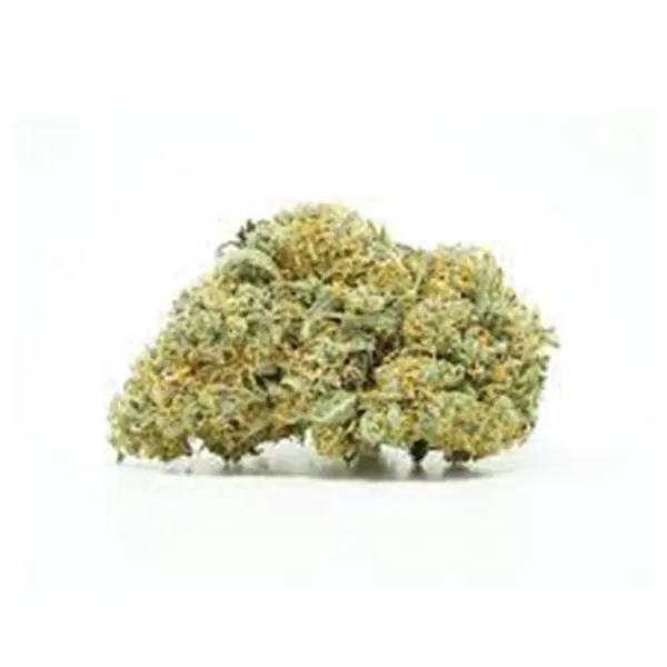 Buy Citrus Haze online – Citrus Haze (Sativa)