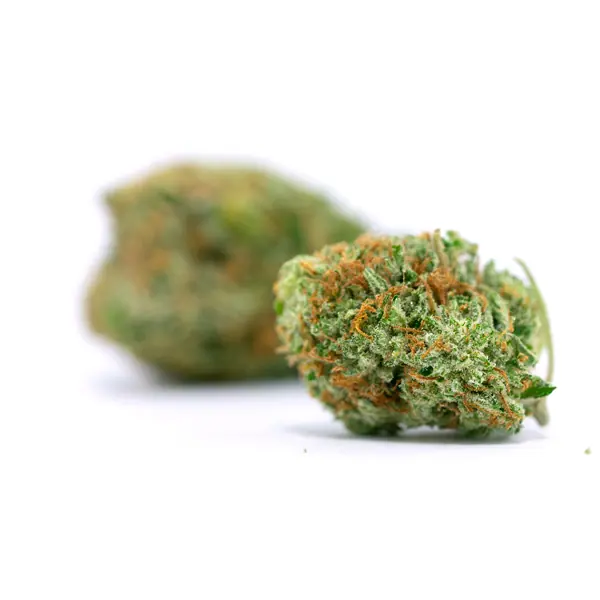 Buy Harlequin Weed Strain Online – Harlequin Online