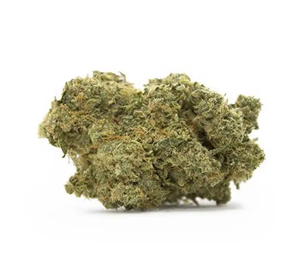 Buy Purple Voodoo Cannabis Strain