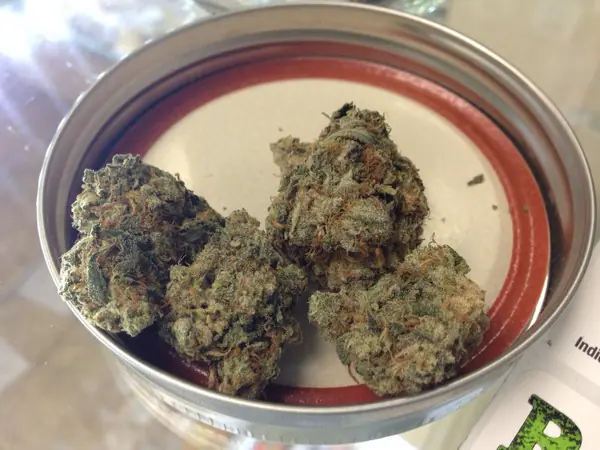 Buy Valley Girl Cannabis Strain