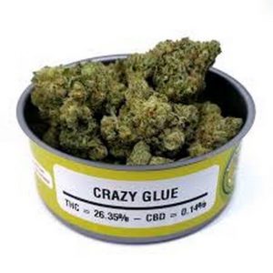 Order Crazy Glue Cannabis Strain Online