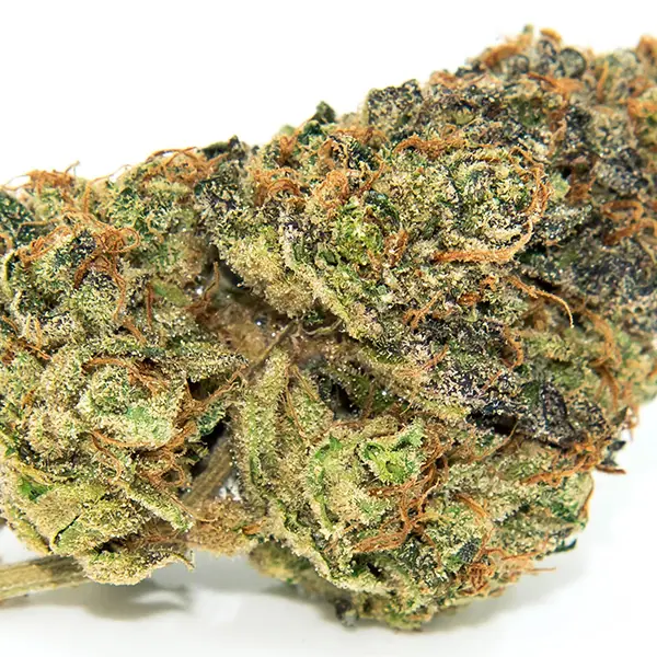 buy-gelato-cannabis-strain-gelato-weed-strain